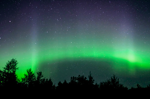 A Medium Shot of a Ribbon of Purple and Green Aurora over Trees on Horizon