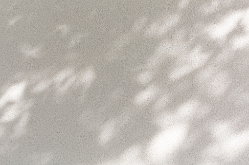 Hojas tropicales sombra sobre fondo de color arena photo