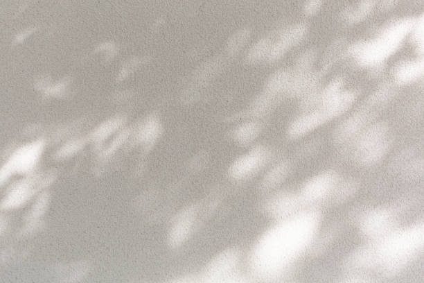 ombre des feuilles tropicales sur fond de couleur sable - focus on shadow photos et images de collection