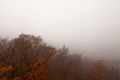 A High Angle Wide Shot of Autumn Trees in Michigan's Porcupine Mountains Disappearing into a Dense Fog