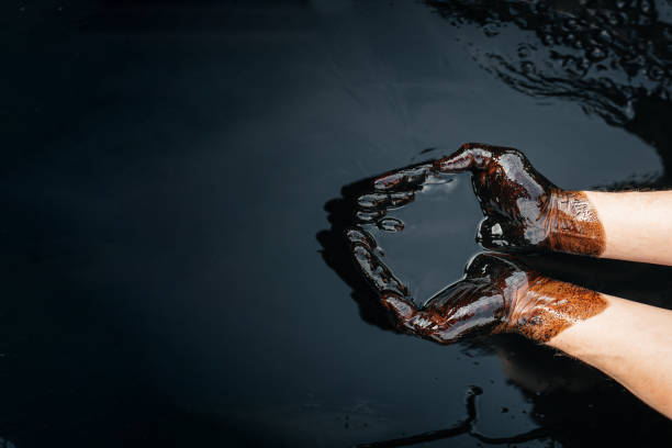 Caucasian oil hands are folded in a bowl of oil. Oil spill. Environmental pollution. an environmental disaster. Copy space Caucasian oil hands are folded in a bowl of oil. Oil spill. Environmental pollution. an environmental disaster. Copy space. High quality photo crude oil stock pictures, royalty-free photos & images