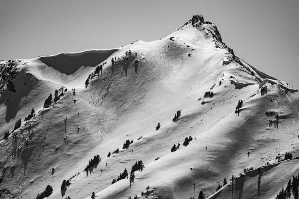 istock Snow Capped Mountains Black And White 1321213105