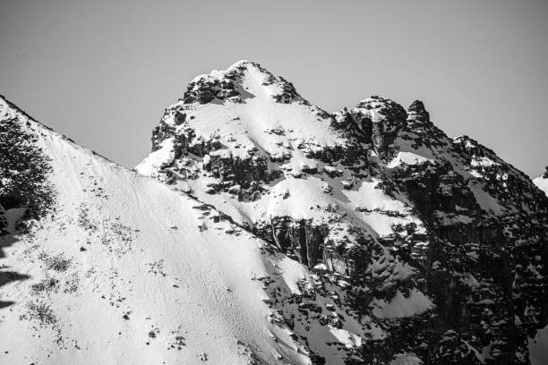 istock Snow Capped Mountains Black And White 1321213139