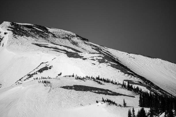 istock Snow Capped Mountains Black And White 1321213148