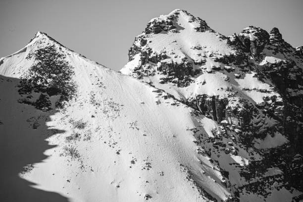 istock Snow Capped Mountains Black And White 1321213177