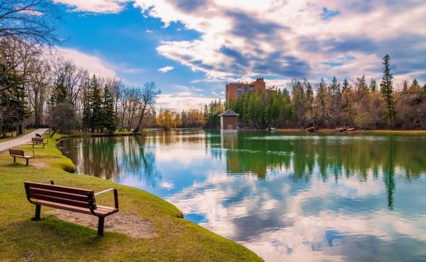 istock Bench Looking Out Over A Park Lake 1321214006