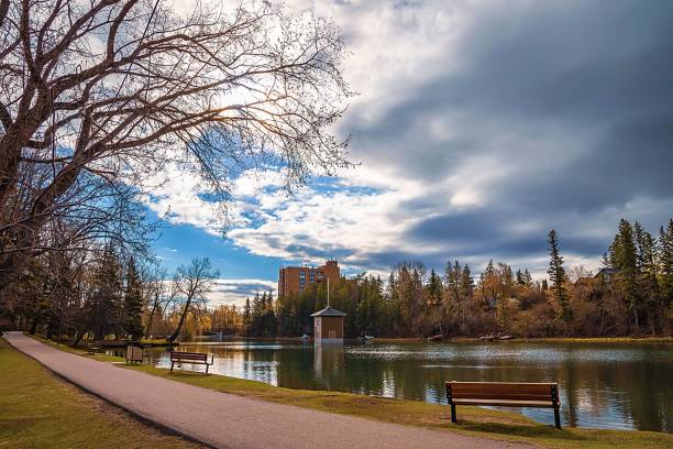 istock Bench Looking Out Over A Park Lake 1321214086