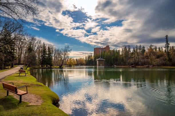 istock Bench Looking Out Over A Park Lake 1321214144