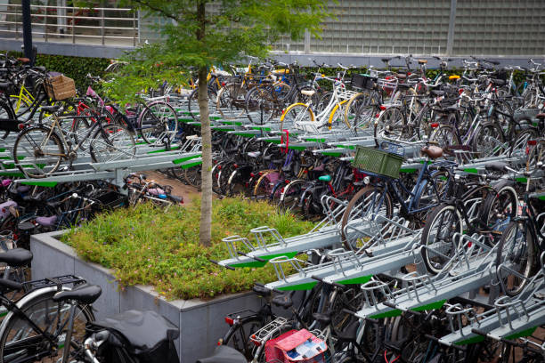 A picture of the massive bicycle parking near the Central Station of Amsterdam.