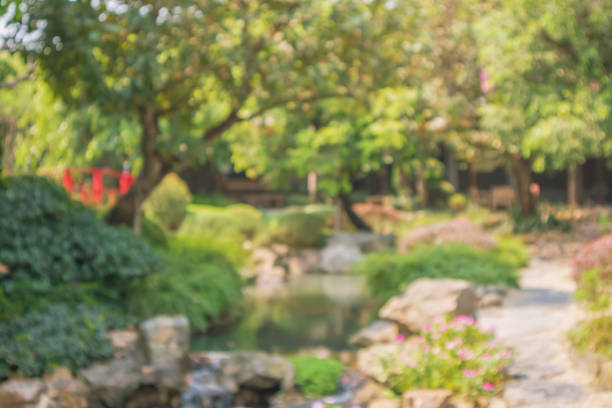istock Abstract blur park garden pond background 1321220437