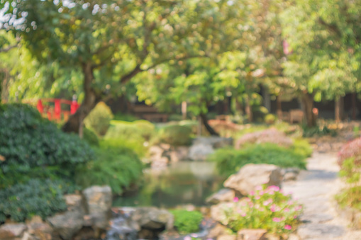 Abstract blur park garden pond background