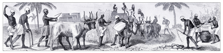 Ancient egyptian farmers on the field working
Original edition from my own archives
Source : Bilder-Atlas - Ikonographische Encyklopädie 1870
