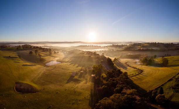 istock Yarra Valley Landscape in Australia 1321223568
