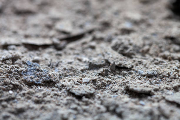 old stucco with dust and sand. background for design