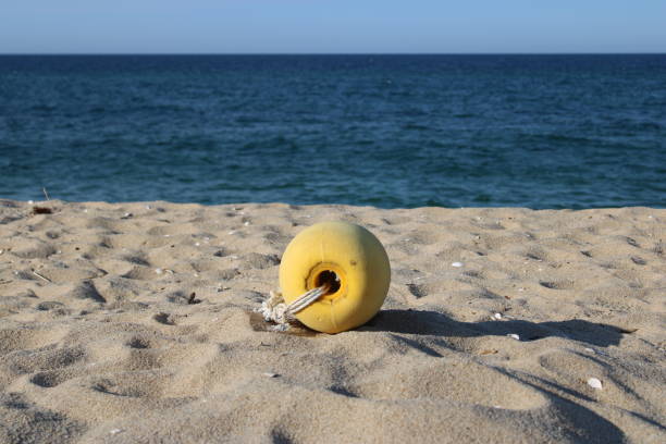 istock Yellow Floater on Beach 1321224495