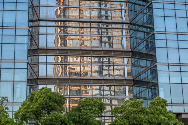 istock Details of a modern office building with a tree 1321228209