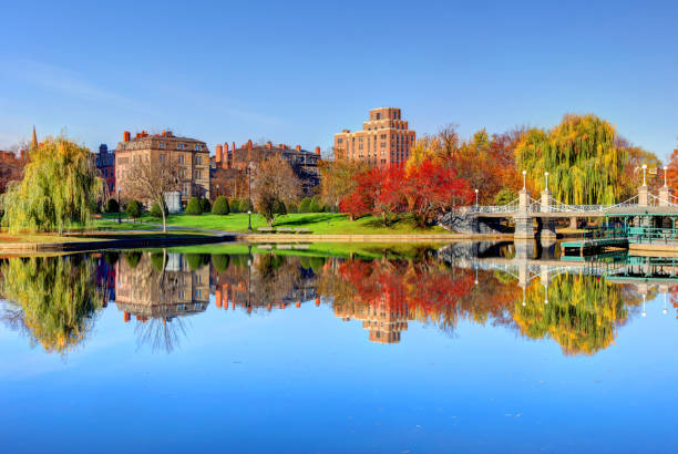 otoño en el jardín público de boston - boston common fotografías e imágenes de stock