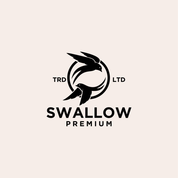 premium swallow vector design premium swallow vector design swallow bird stock illustrations