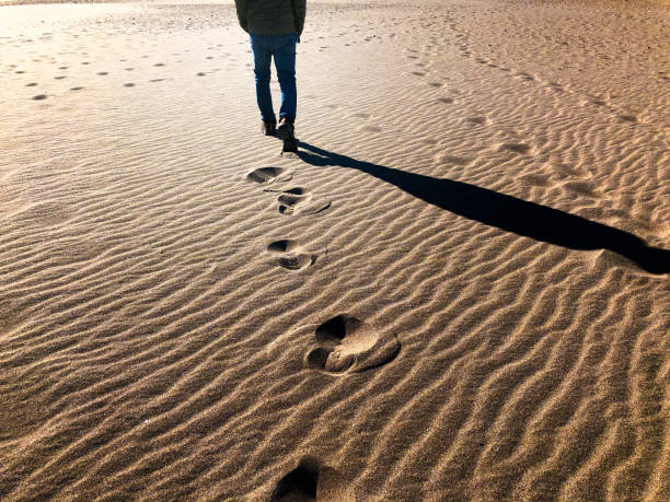 istock Footprints in the Sand at Sunset 1321232717