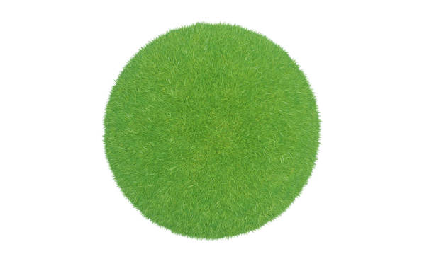 istock 3d rendering. Green grass ball isolated on white background. 1321232779