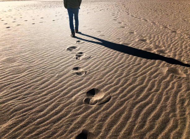 istock Footprints in the Sand at Sunset 1321232788