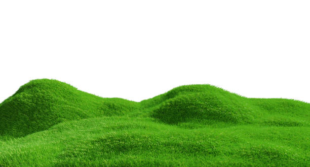 istock 3d rendering. Green grass hill isolated on white background. 1321232824