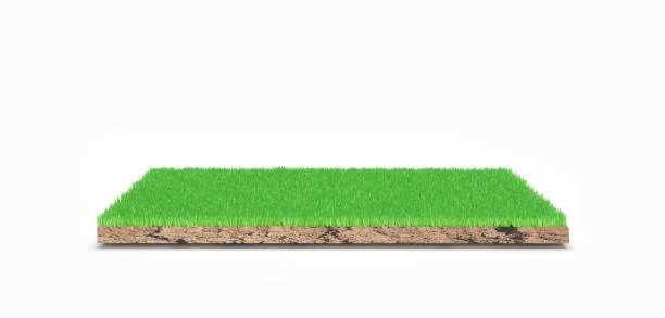 istock 3D rendering. Green grass land piece isolated on background. 1321232825