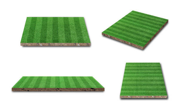 istock 3D Rendering. Stripe grass soccer field collection isolated on white background. 1321232862