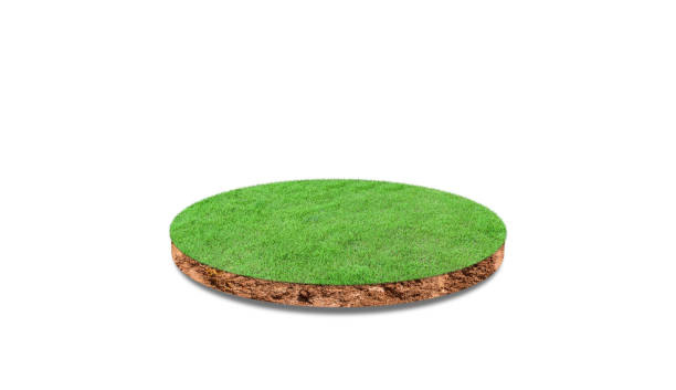 istock Cross section of round soil ground with grass isolated on white background. 1321232888