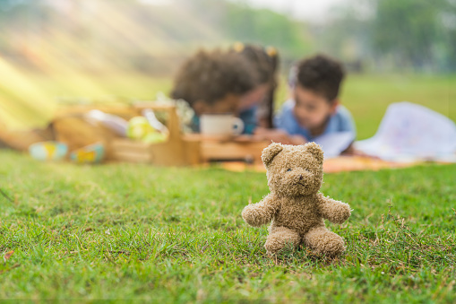 little bear doll sitting on green grass with blurred background of boy and girl children playing together during picnic in park during summer