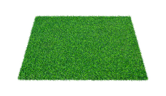 Green carpet grass isolated on white background.
