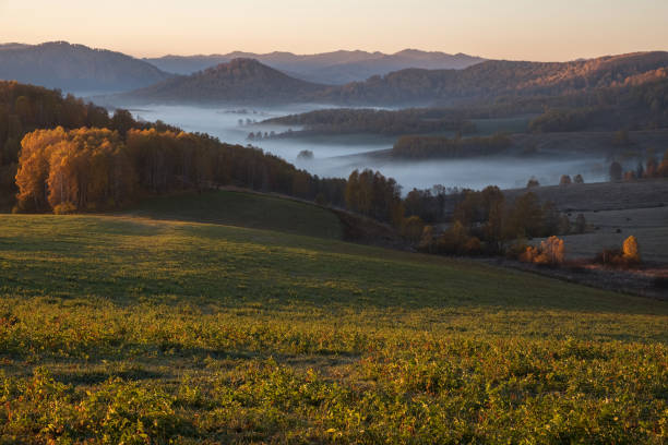 istock Sunrise, green field and yellow forest 1321236288