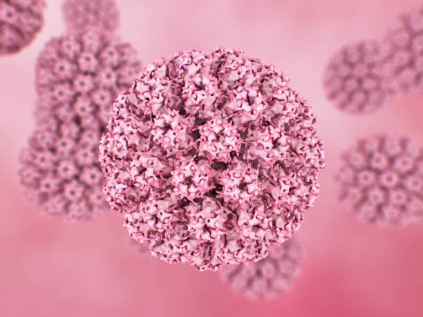 istock Human Papilloma Type 16 examined by electron cryomicroscopy 1321240052