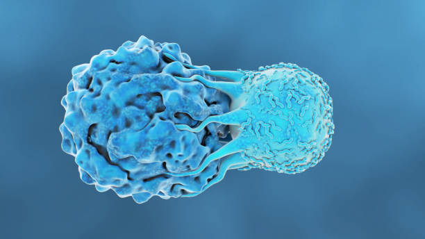T-Cell Attacks Cancer Cell stock photo