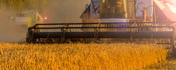 バナー 青空の小麦畑の収穫機を組み合わせる - 3681 ストックフォトと画像