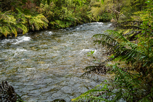 Tākaka, New Zealand.