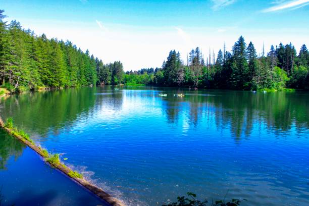 istock Lacamas Lake - Camas, Washington 1321243582