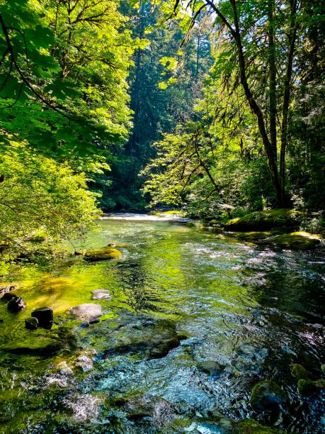 Lacamas Creek - Camas, Washington