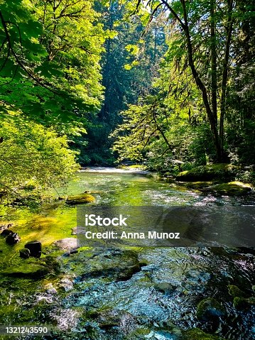 istock Lacamas Creek - Camas, Washington 1321243590