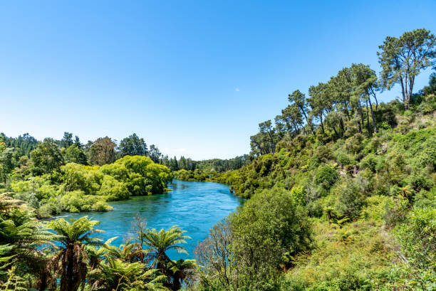 Waikato River in Wairakei Park of Taupo, New Zealand Taupo, New Zealand. waikato region stock pictures, royalty-free photos & images