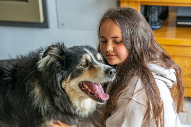 istock Thirteen year old girl with pet border collie 1321246638