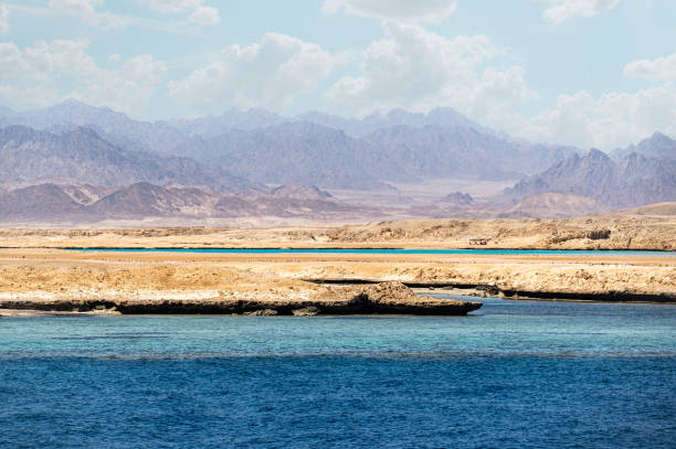 ras mohammad to park narodowy w egipcie na południowym krańcu półwyspu synaj, z widokiem na zatokę sueską na zachodzie i zatokę akaba na wschodzie - gulf of suez zdjęcia i obrazy z banku zdjęć