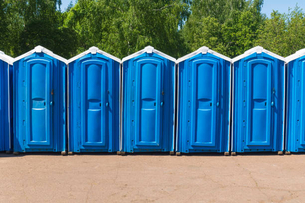 Blue plastic biodegradable toilet stalls line up in an outdoor activity area. Plastic bio public toilet stalls stand in a row against the backdrop of green trees in crowded places portable toilet stock pictures, royalty-free photos & images