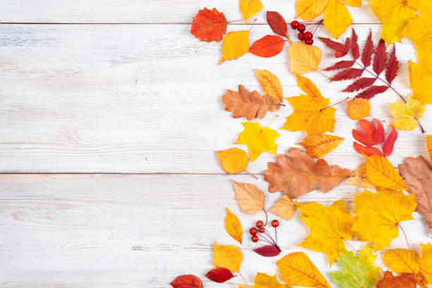 istock Autumn maple leaves on wooden table.Falling leaves natural background. 1321252692