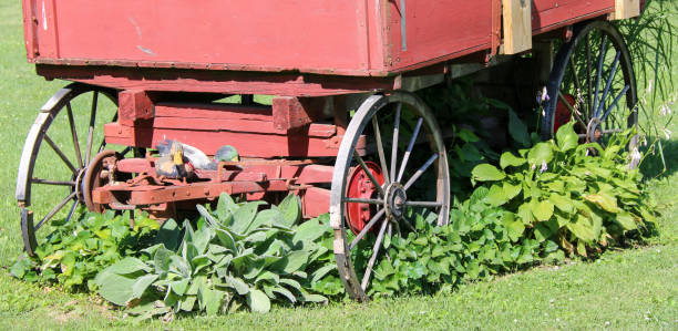 istock old ranch wagon wheel and buggy display in a green backyard garden scene 1321252713