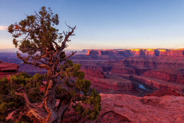 istock Morning over Dead Horse Point 1321253906