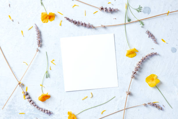 istock Spring wedding invitation or birthday postcard stationery mockup 1321253929