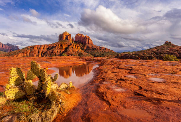 Cathedral Rock in Sedona View of Cathedral Rock in Sedona, Arizona sedona stock pictures, royalty-free photos & images