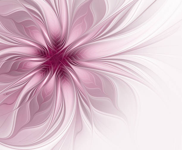 Abstract fractal large muted pink flower. Copy space