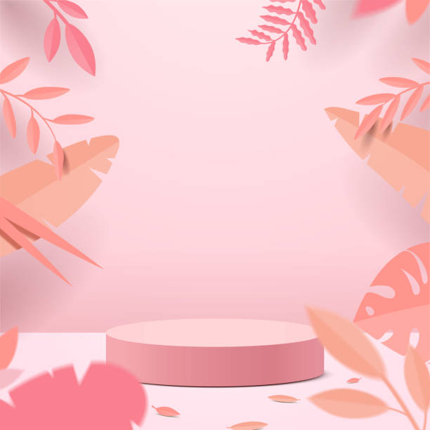 ilustrações, clipart, desenhos animados e ícones de cena mínima abstrata com formas geométricas. pódio de cilindro em fundo rosa com folhas de planta rosa. - colecção de verão